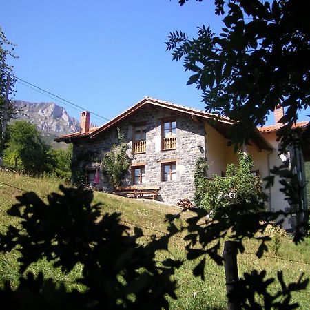 Casa Carielda Guest House Pembes Exterior photo