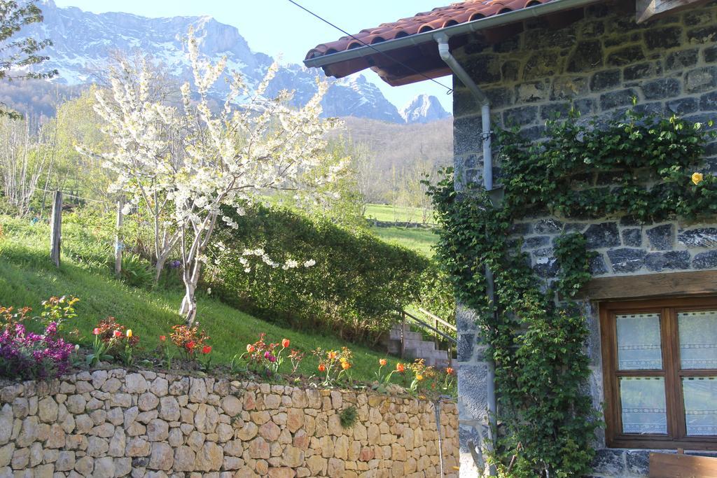 Casa Carielda Guest House Pembes Exterior photo