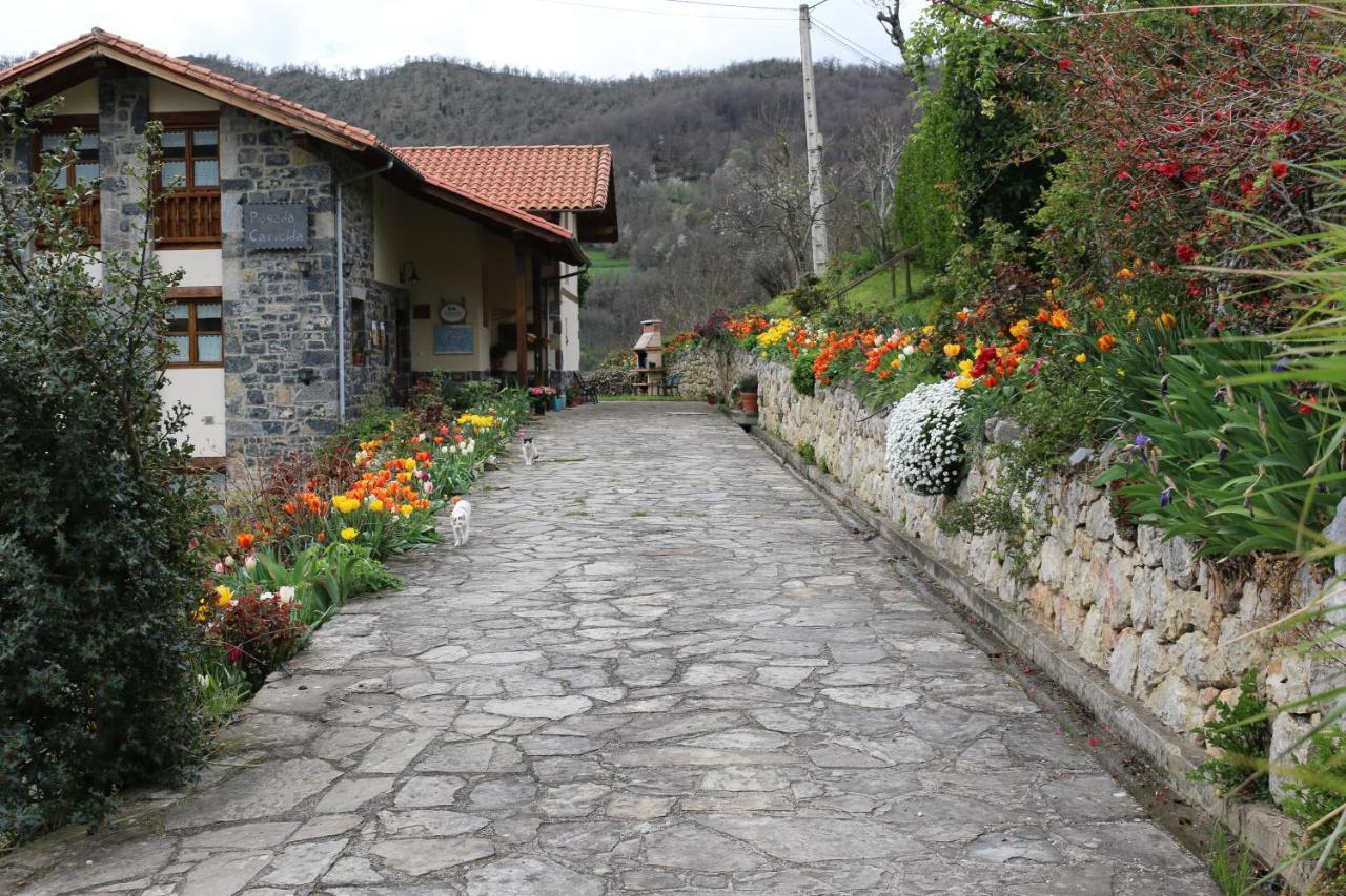 Casa Carielda Guest House Pembes Exterior photo